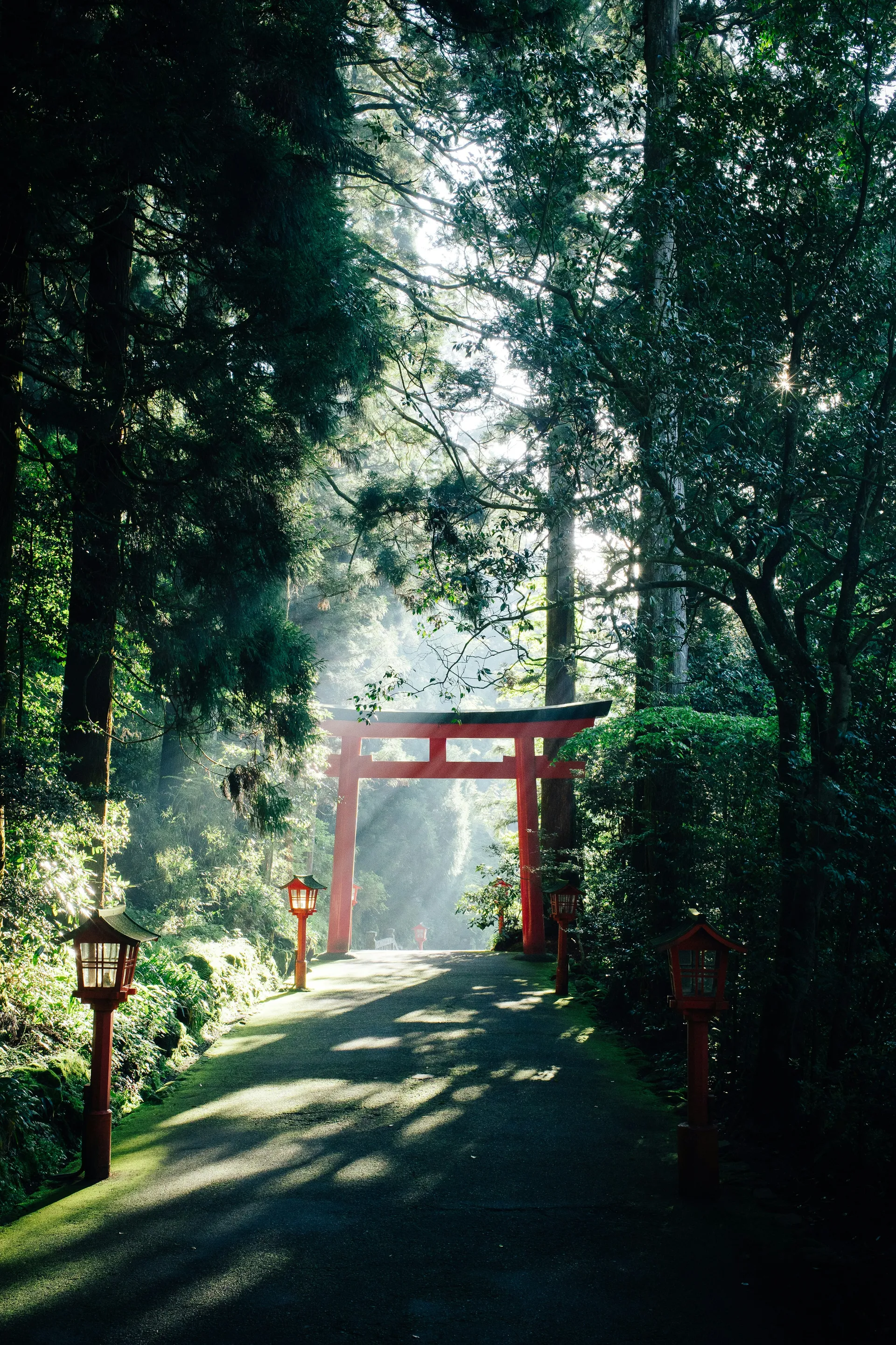 A red torii gate on a misty forest path leading to Hakone Shrine, Japan