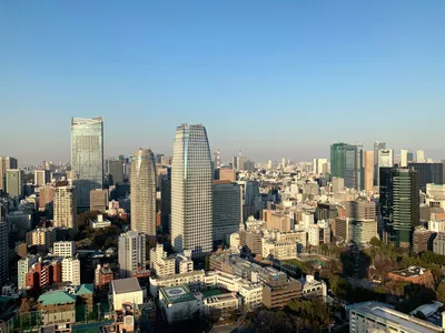 Tokyo Tower and the surrounding business district skyline in warm evening light